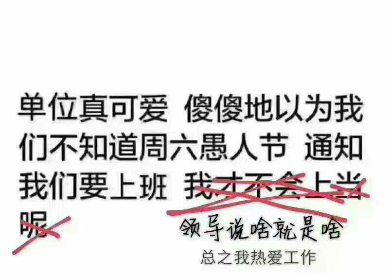 逗我呢？！
