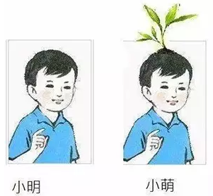 你可能帶了假腦子來(lái)參加考試